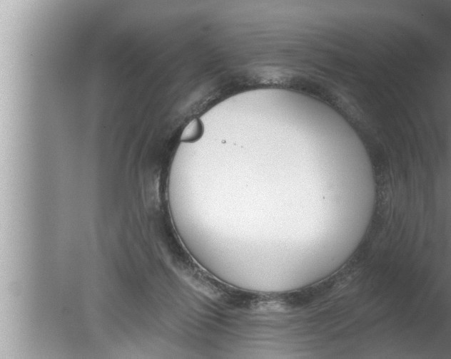 X0000080150262200612302135