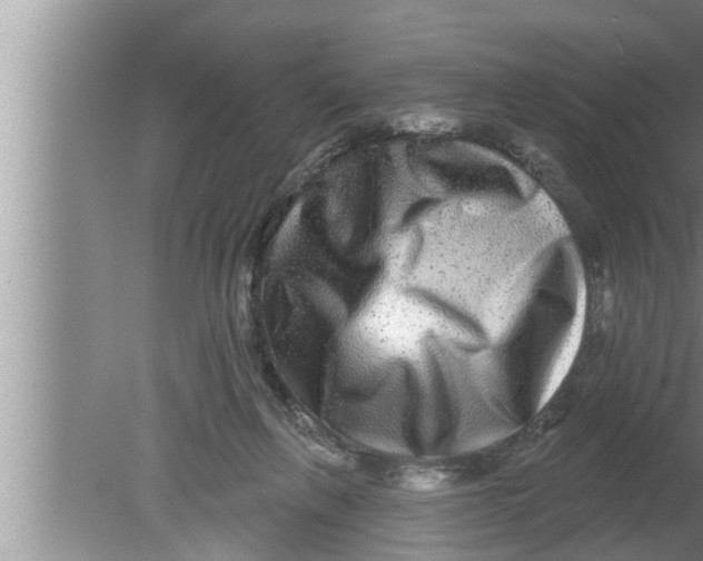 X0000080150263200612302135