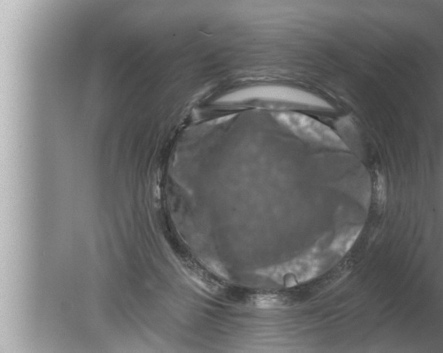 X0000080150264200612302135