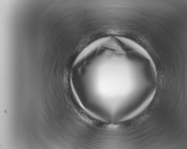 X0000080150265200612302135