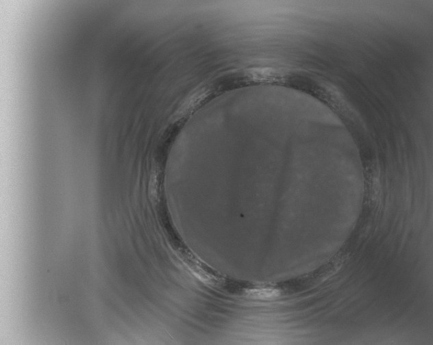 X0000080150266200612302135