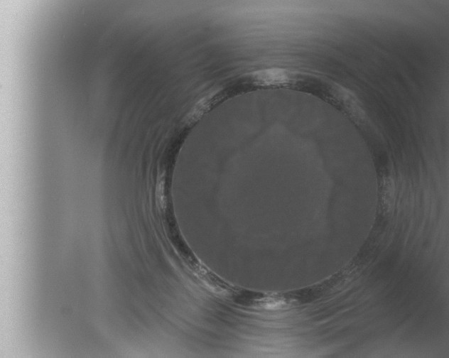 X0000080150267200612302135