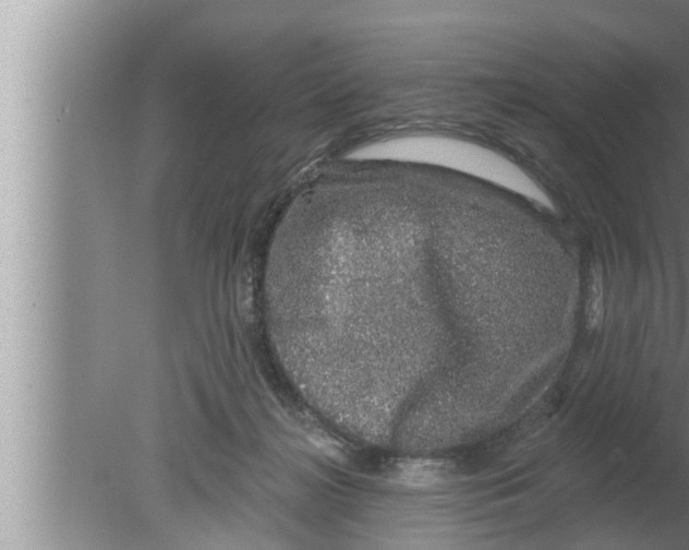 X0000080150268200612302135