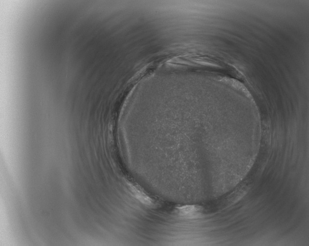 X0000080150269200612302135