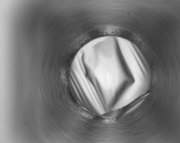 X0000080150270200612302135