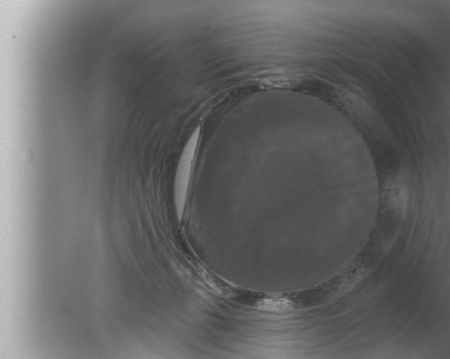 X0000080150271200612302135