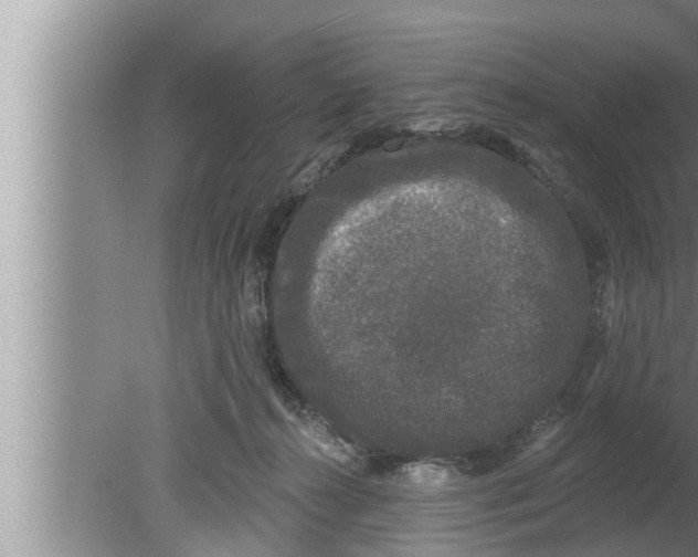 X0000080150272200612302135