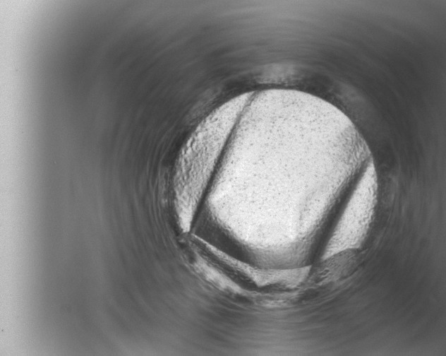 X0000080150273200612302135