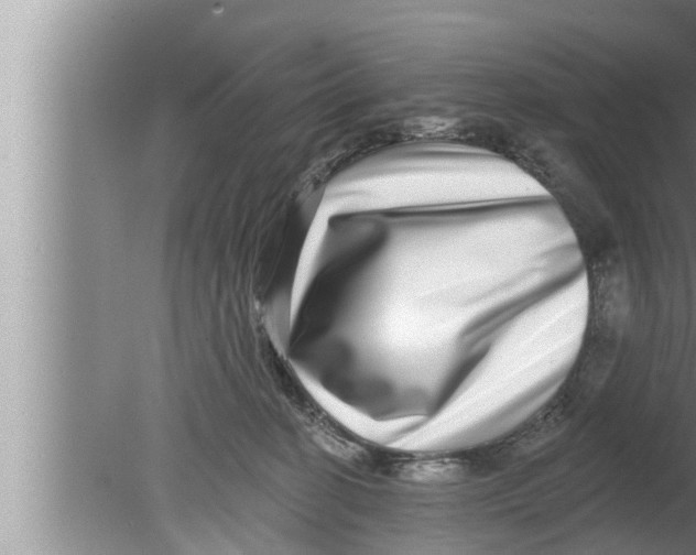 X0000080150274200612302135