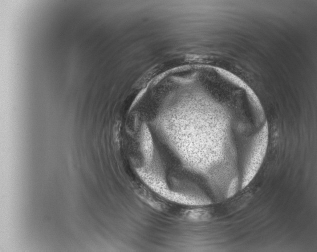 X0000080150275200612302135