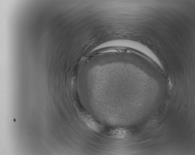 X0000080150276200612302135