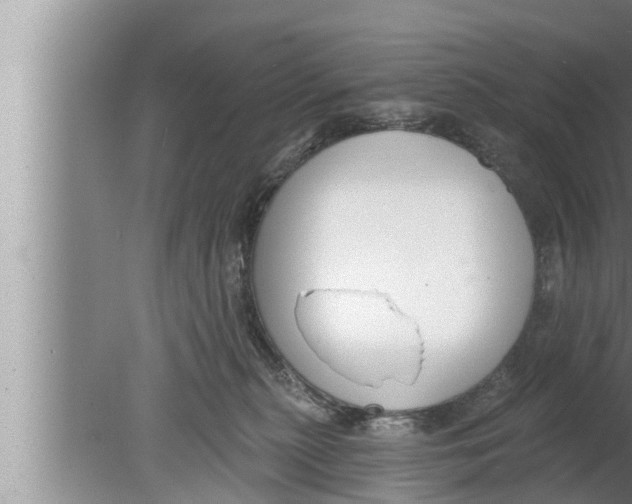 X0000080150279200612302135