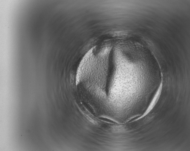 X0000080150281200612302135