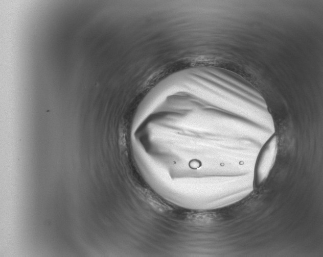 X0000080150282200612302135