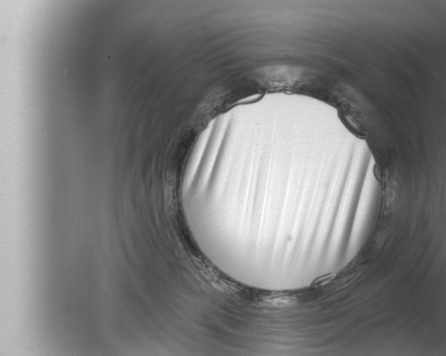 X0000080150283200612302135