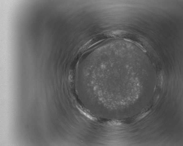 X0000080150284200612302135