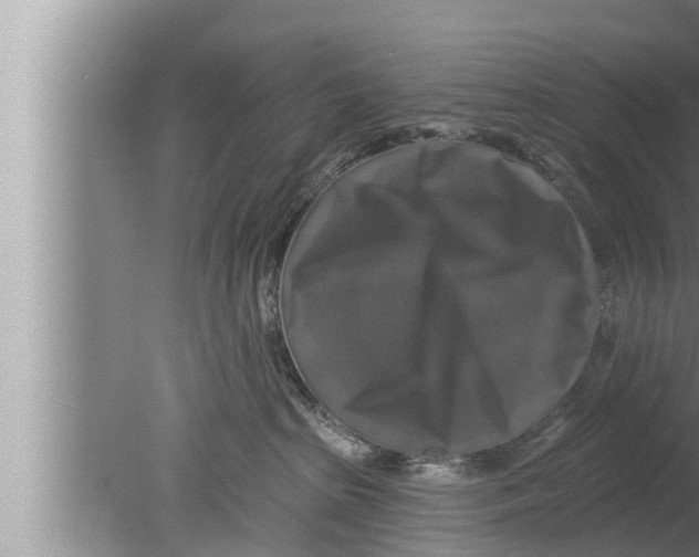 X0000080150285200612302135