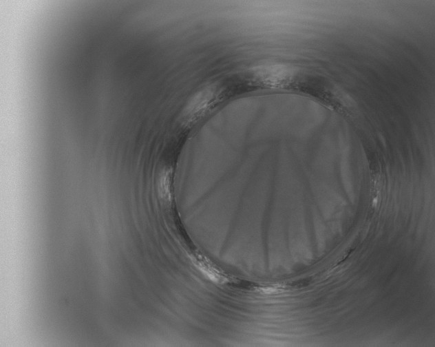 X0000080150286200612302135