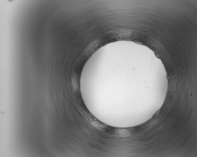 X0000080150287200612302135