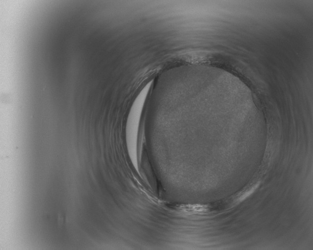 X0000080150288200612302135