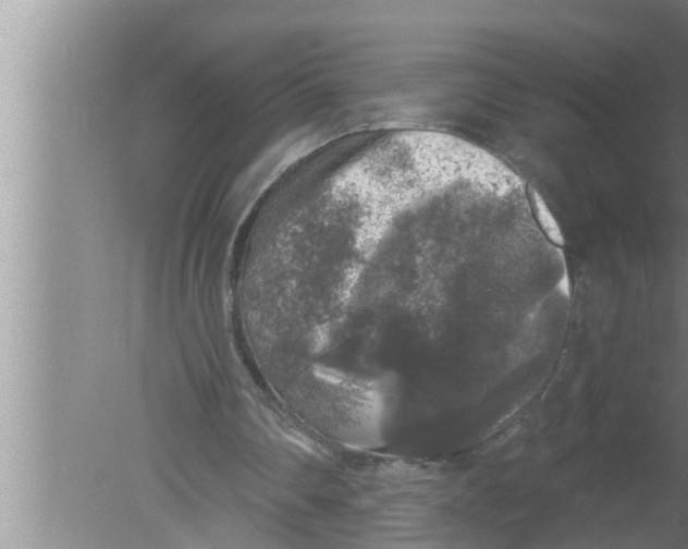 X0000080150290200612302135