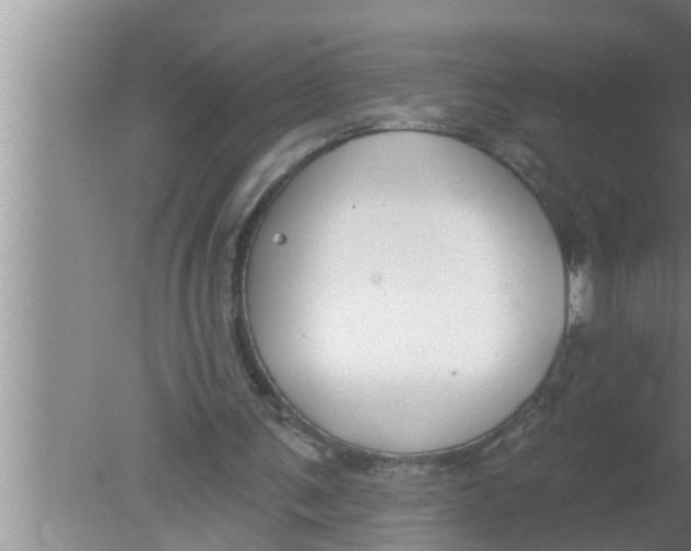 X0000080150291200612302135