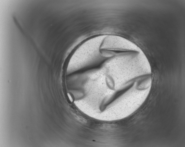 X0000080150292200612302135