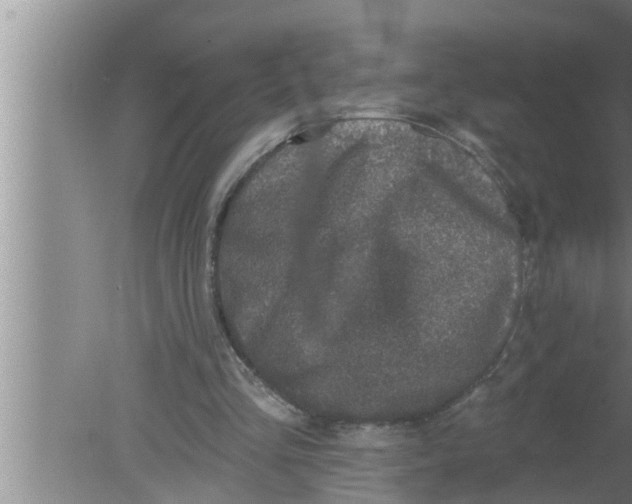 X0000080150293200612302135