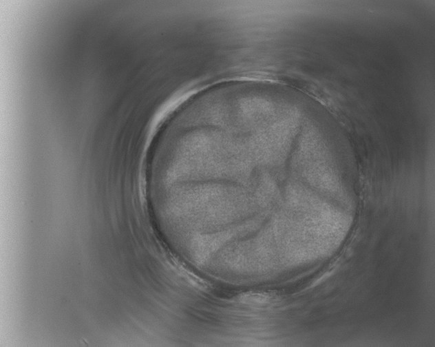 X0000080150294200612302135