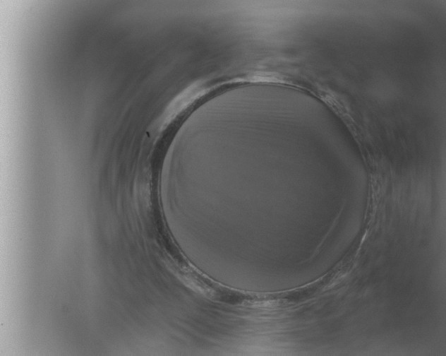 X0000080150295200612302135