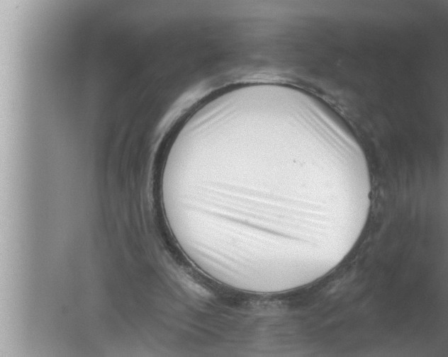 X0000080150296200612302135