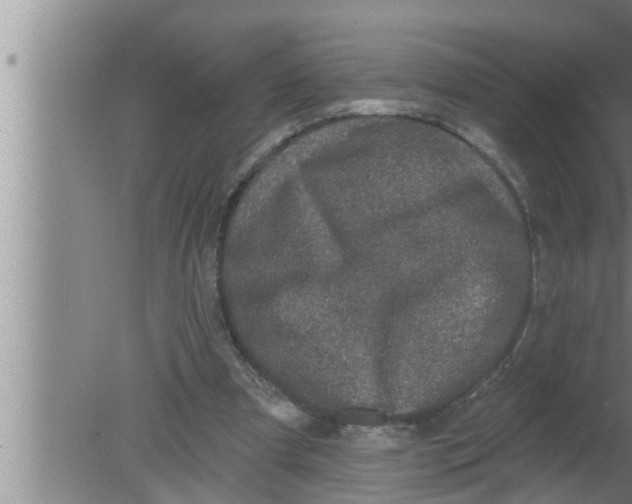 X0000080150297200612302135