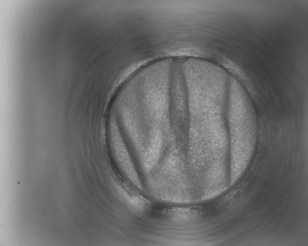 X0000080150298200612302135