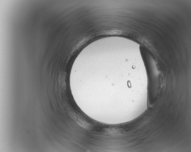 X0000080150300200612302134