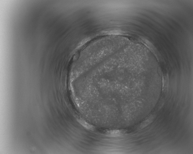 X0000080150301200612302134