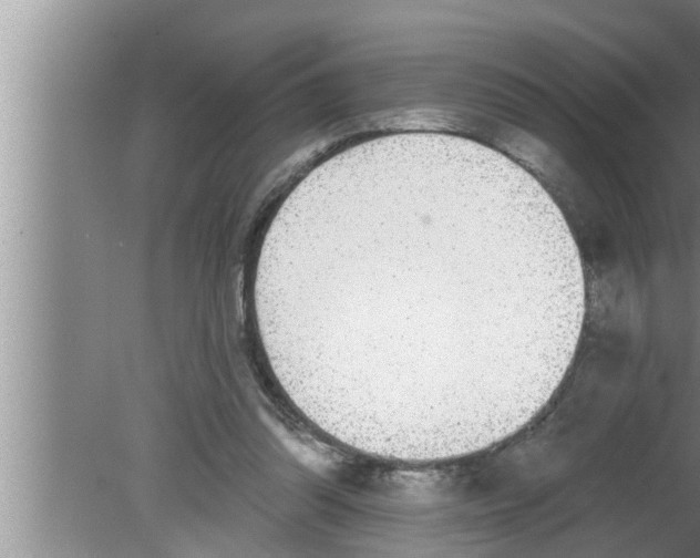 X0000080150302200612302134