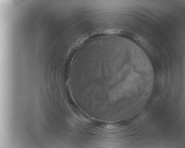 X0000080150303200612302134