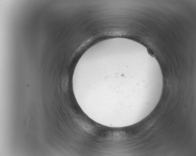 X0000080150304200612302134