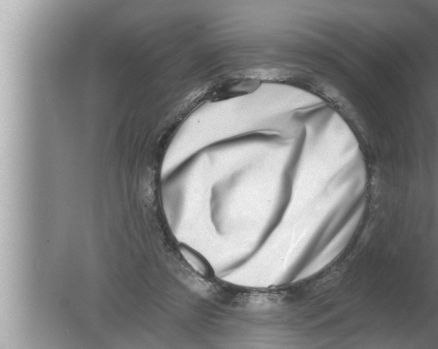 X0000080150305200612302134