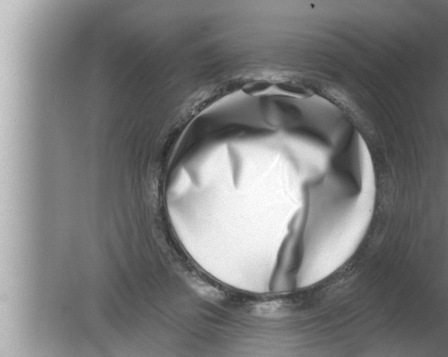 X0000080150309200612302134