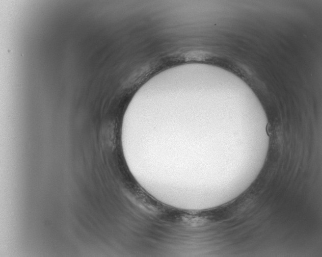 X0000080150311200612302134