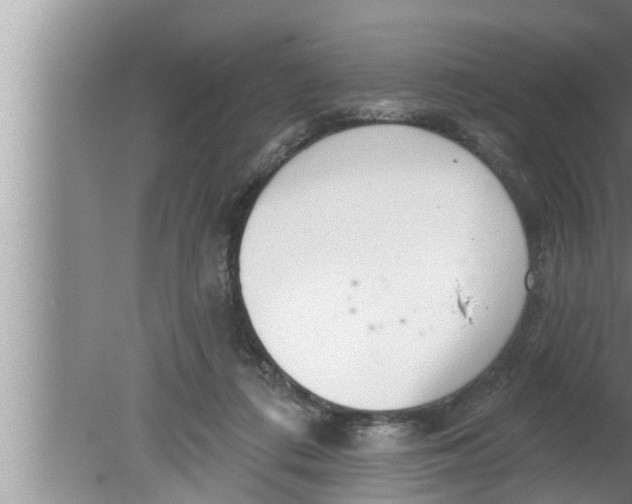 X0000080150312200612302134