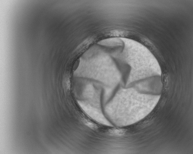 X0000080150313200612302134