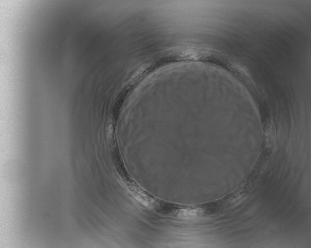 X0000080150314200612302134