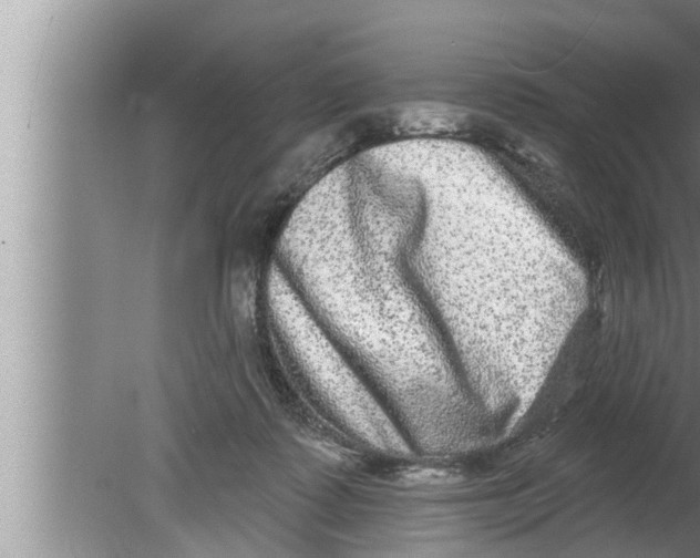 X0000080150315200612302134