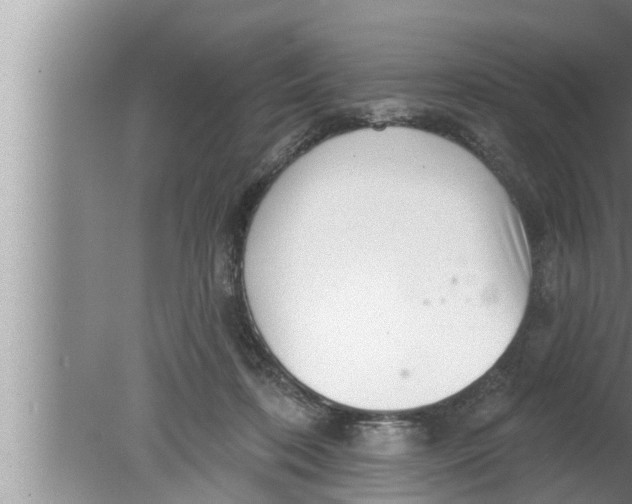 X0000080150316200612302134