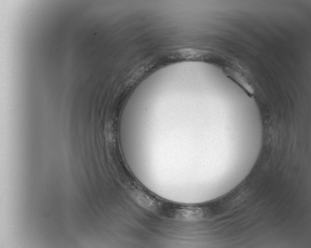 X0000080150317200612302134