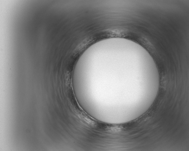 X0000080150318200612302134