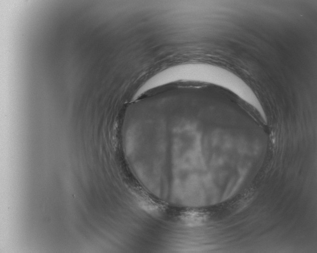 X0000080150319200612302134