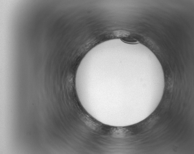 X0000080150321200612302134